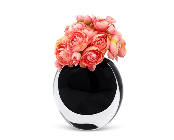 Product_Background _Removal after