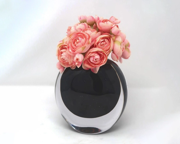 Product_Background _Removal before