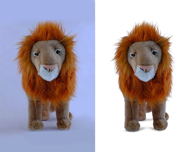 animal toy  background remove