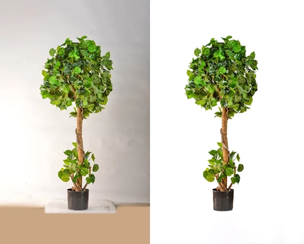 product background remove