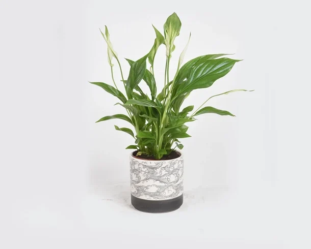 Extra-compound Clipping Path