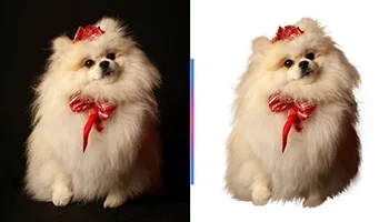 Image Masking